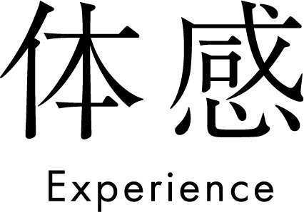 体感 Experience